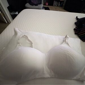 Torrid Everyday Smooth White Wireless Bra